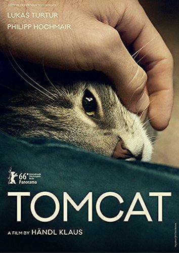 Tomcat - Posters