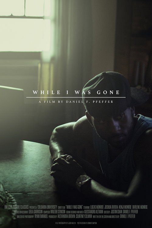 While I Was Gone - Affiches