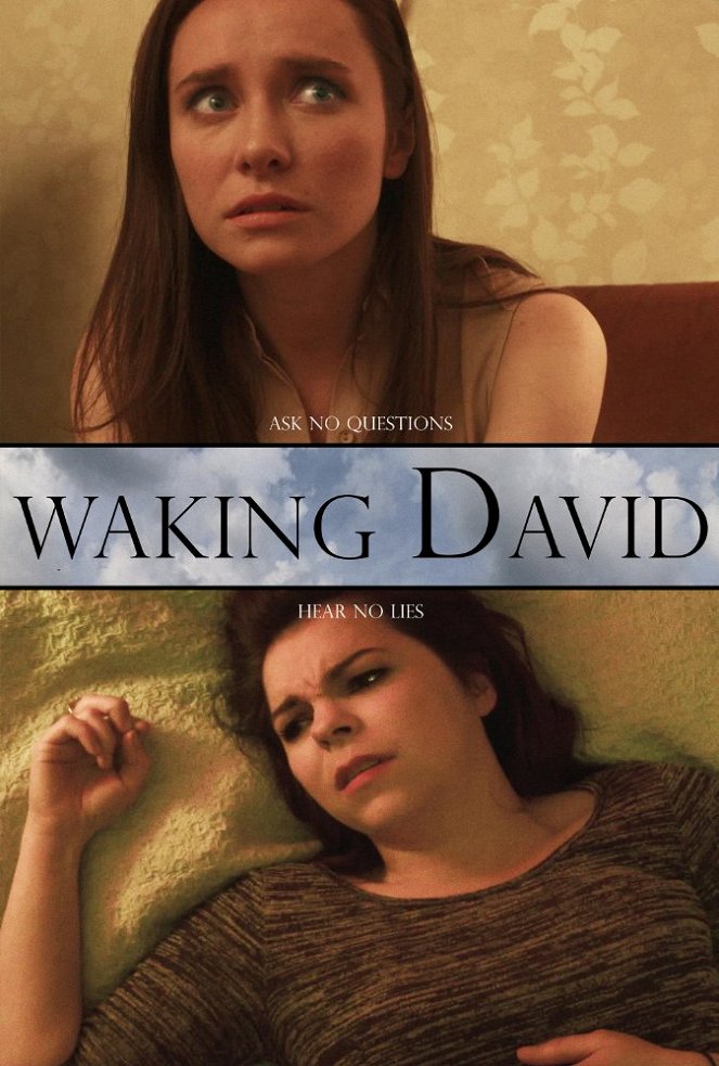 Waking David - Affiches