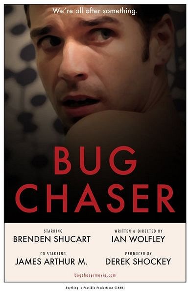 Bug Chaser - Posters