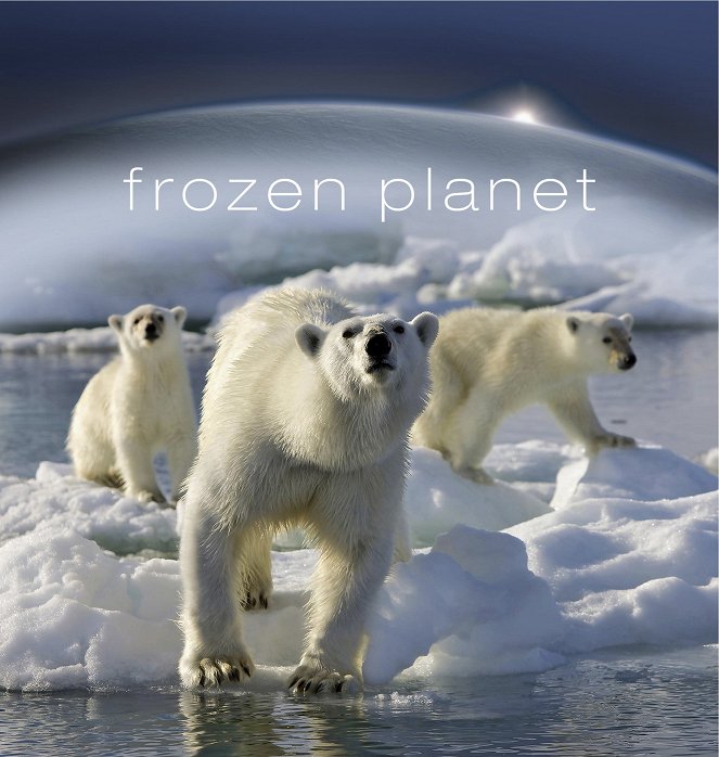 Zamrznutá planéta - Zamrznutá planéta - Im Sog der Sonne - Plagáty
