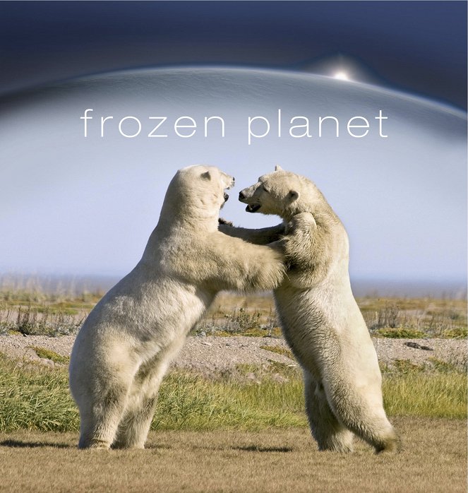 Frozen Planet - Season 1 - Frozen Planet - Wettlauf gegen die Kälte - Affiches
