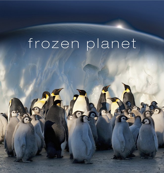 Frozen Planet - Season 1 - Frozen Planet - Im Bann der Polarnacht - Affiches