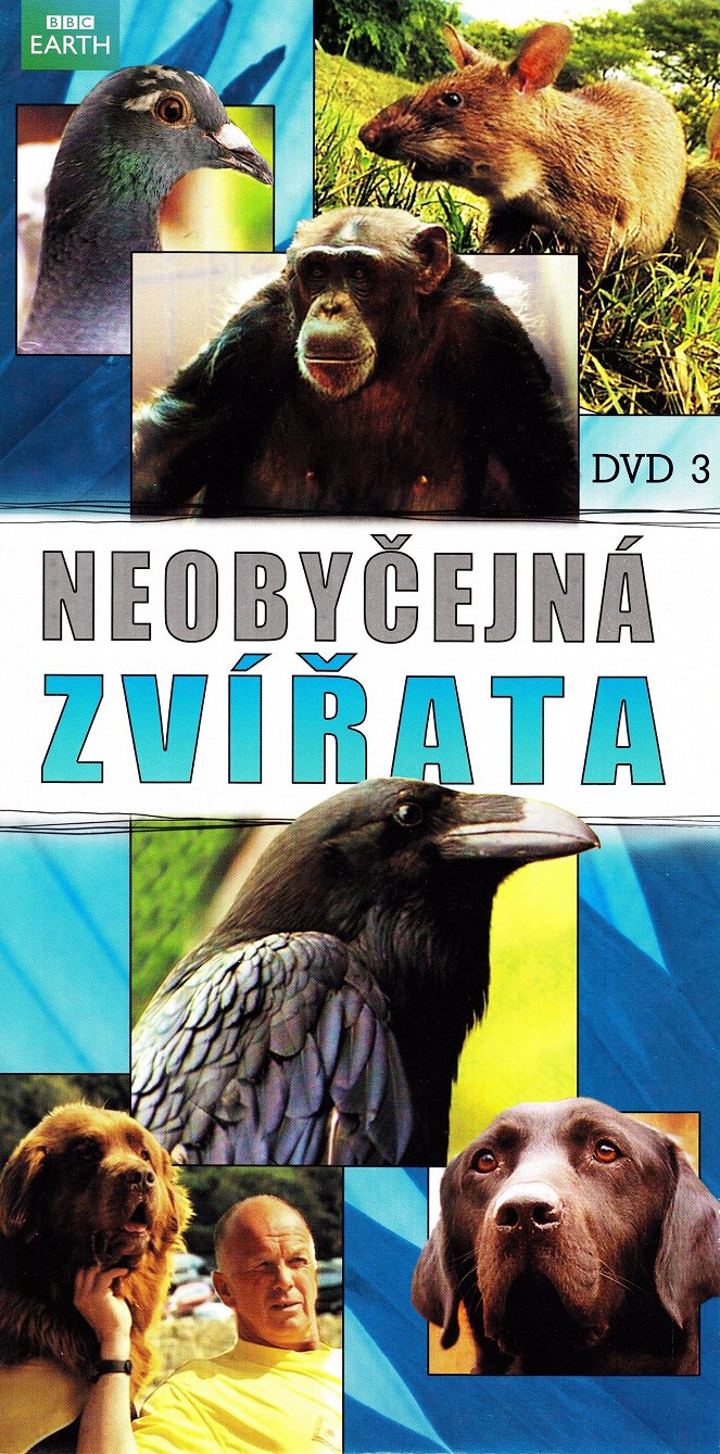 Neobyčejná zvířata - Plakáty