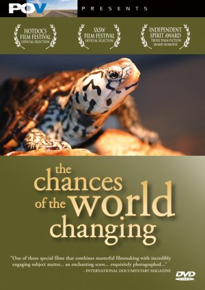 The Chances of the World Changing - Cartazes