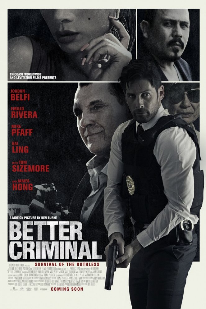 Better Criminal - Plagáty