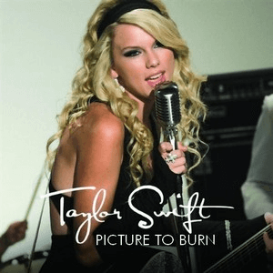 Taylor Swift - Picture To Burn - Carteles
