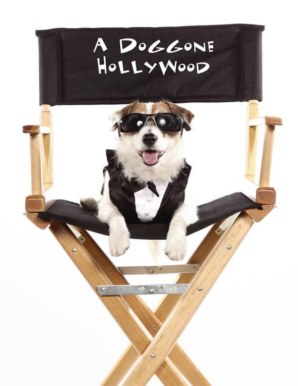 A Doggone Hollywood - Plakaty