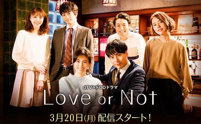 Love or Not - Love or Not - Season 1 - Plakate