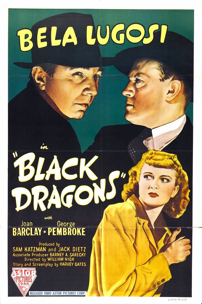 Black Dragons - Posters