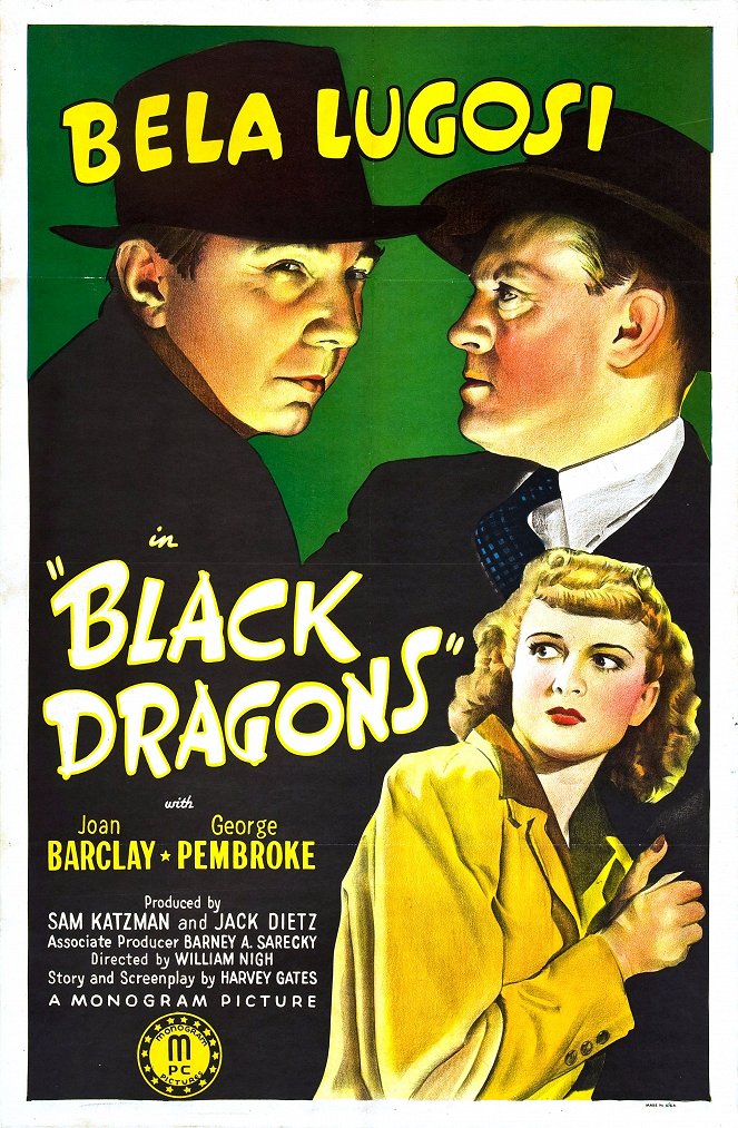 Black Dragons - Plakate