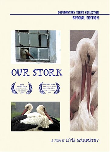 Our Stork - Posters