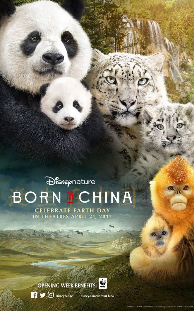 Born in China - Posters