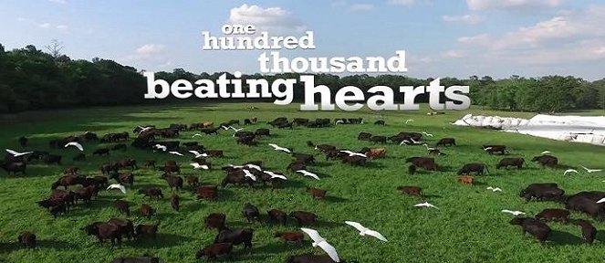 One Hundred Thousand Beating Hearts - Cartazes