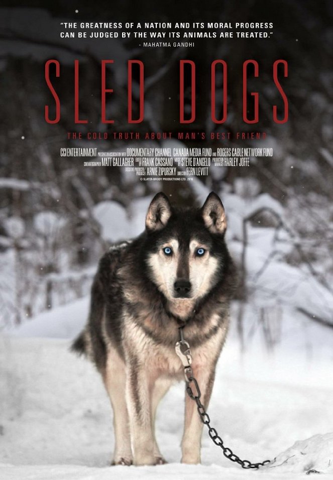 Sled Dogs - Affiches