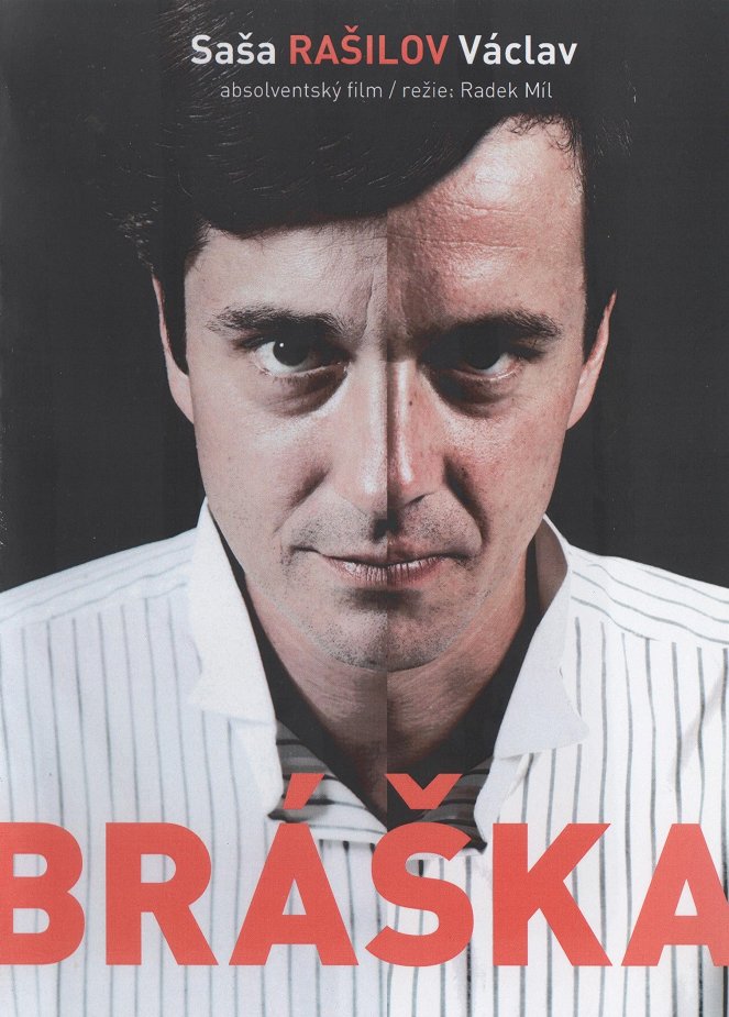 Bráška - Posters