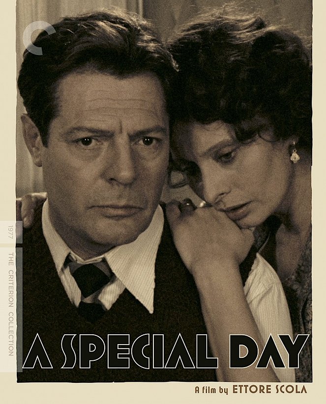 A Special Day - Posters