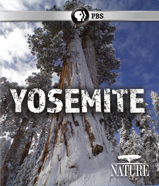 Nature: Yosemite - Affiches