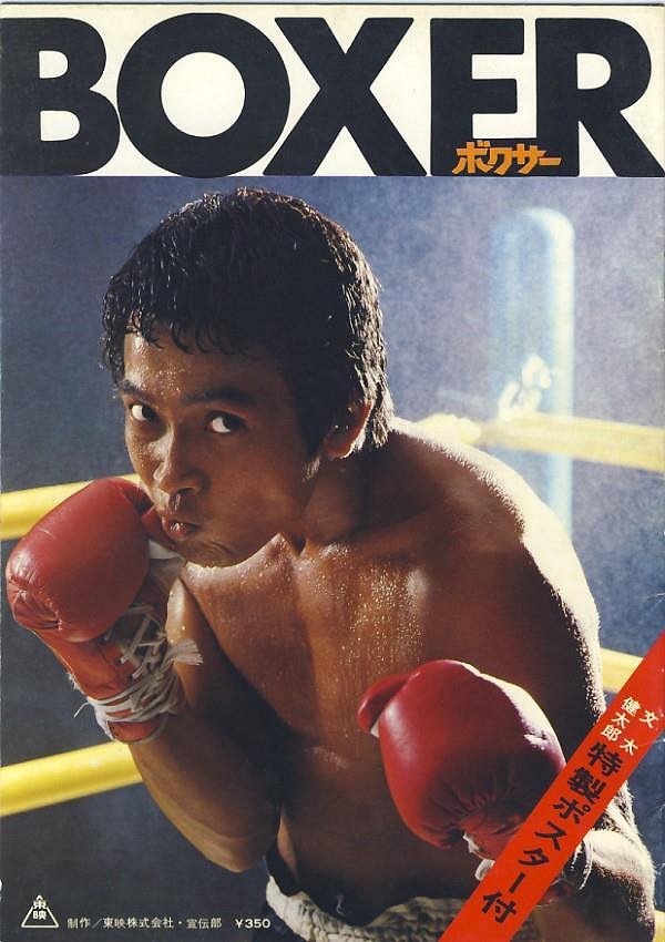 Boxer - Plakaty