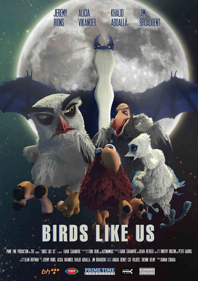 Birds Like Us - Posters