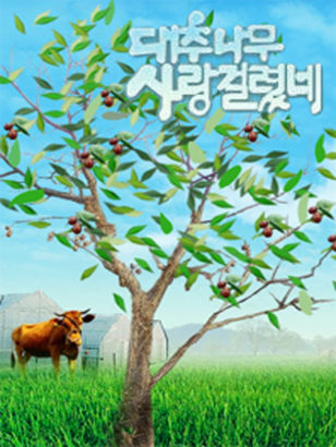 Daechunamu saranggeollyeotne - Plakátok