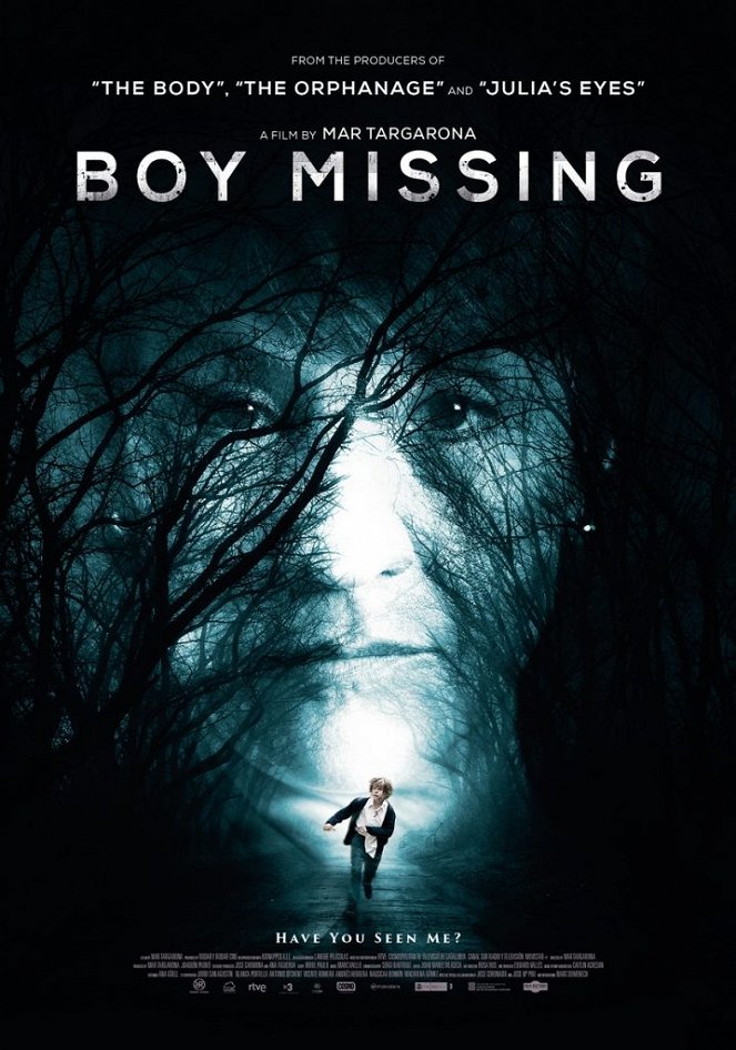 Boy Missing - Plakate