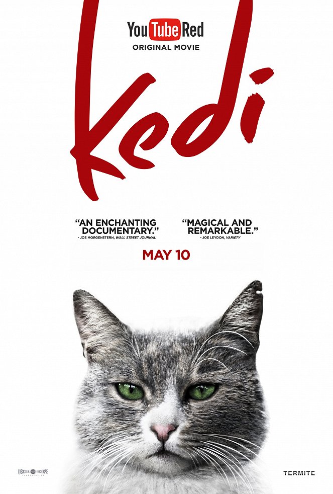 Kedi - Von Katzen und Menschen - Plakate