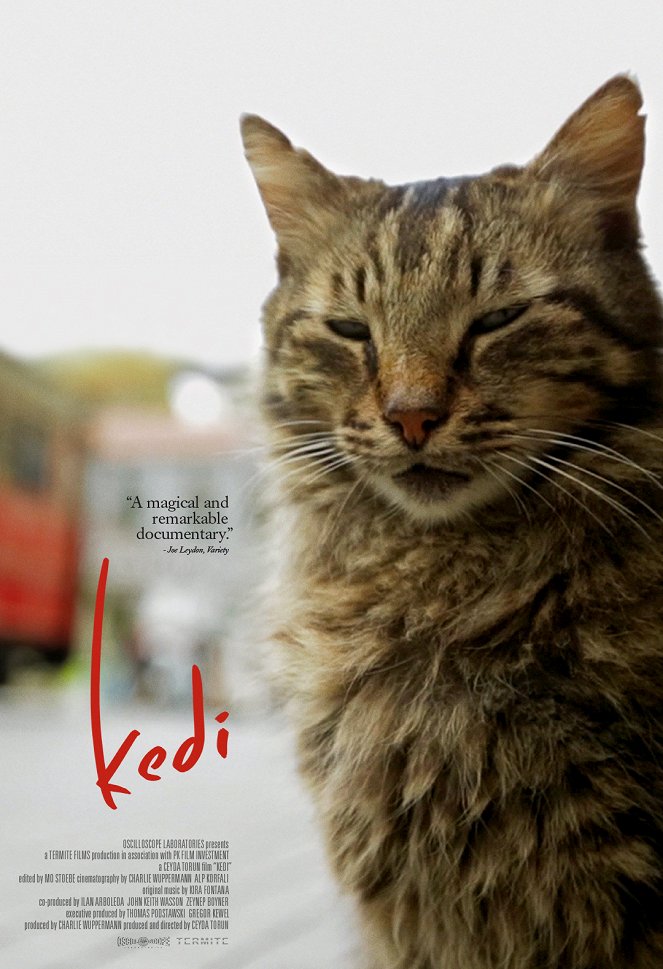 Kedi (Gatos de Estambul) - Carteles