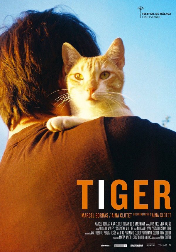 Tiger - Affiches