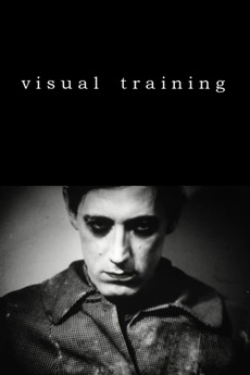 Visual Training - Julisteet