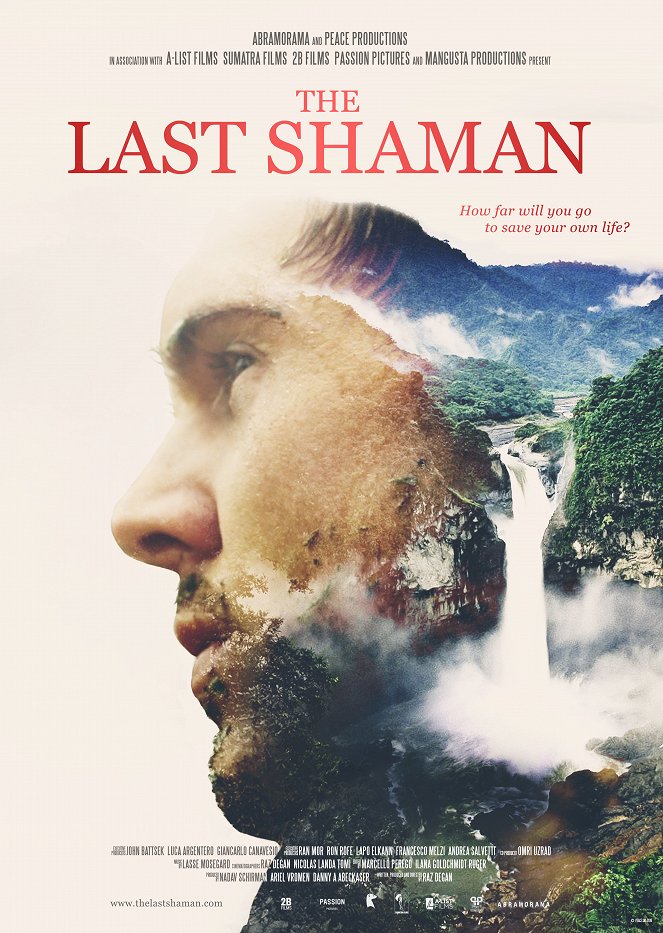 The Last Shaman - Plakaty