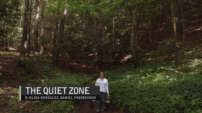The Quiet Zone - Plakaty