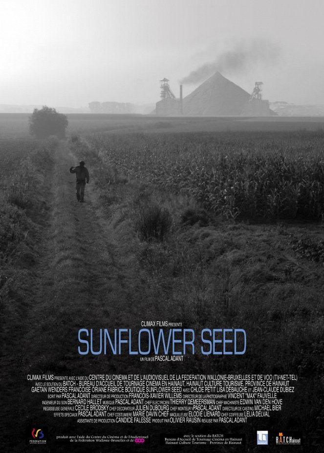 Sunflower Seed - Posters