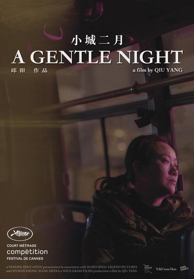 A Gentle Night - Posters