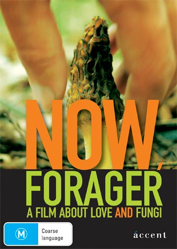 Now, Forager - Posters