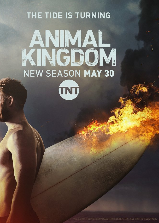 Animal Kingdom - Animal Kingdom - Season 2 - Julisteet