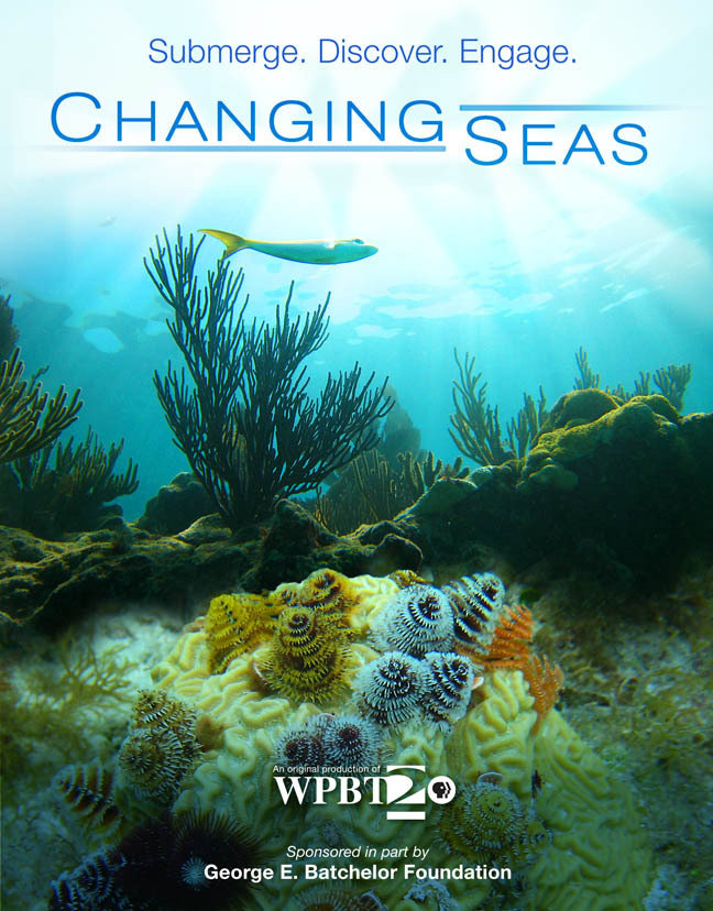 Changing Seas - Plakátok