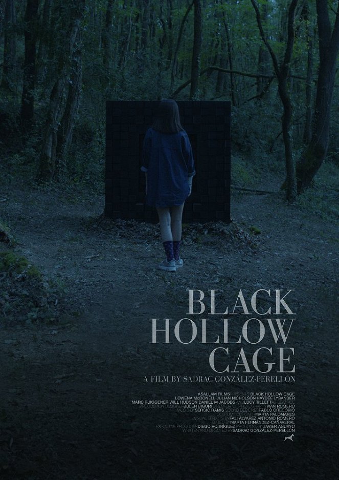 Black Hollow Cage - Plakate