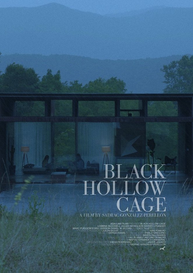 Black Hollow Cage - Cartazes