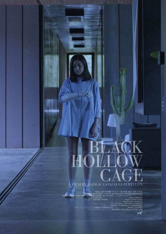 Black Hollow Cage - Cartazes