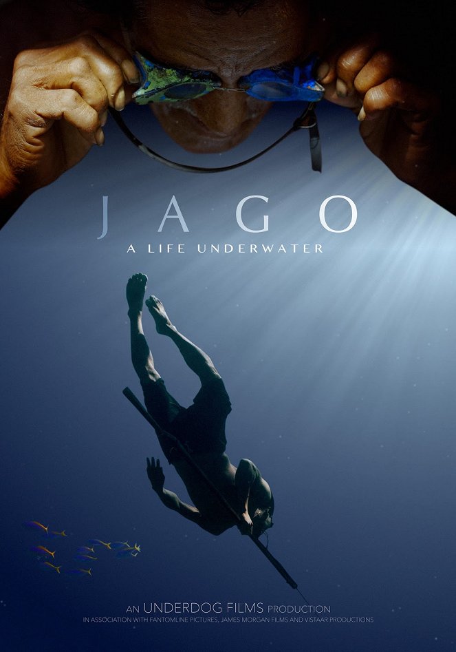 Egy élet a víz alatt - Plakátok