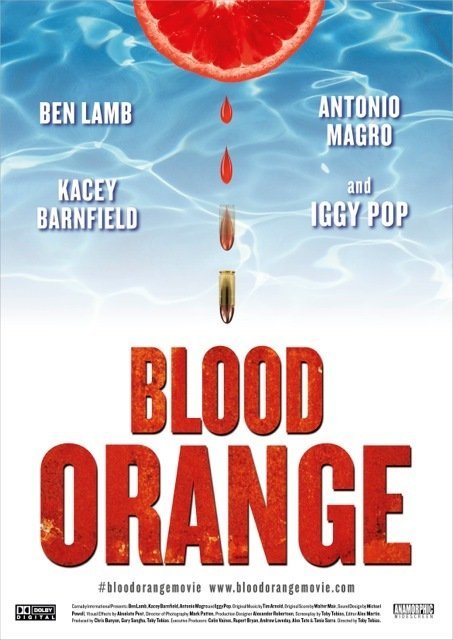 Blood Orange - Affiches