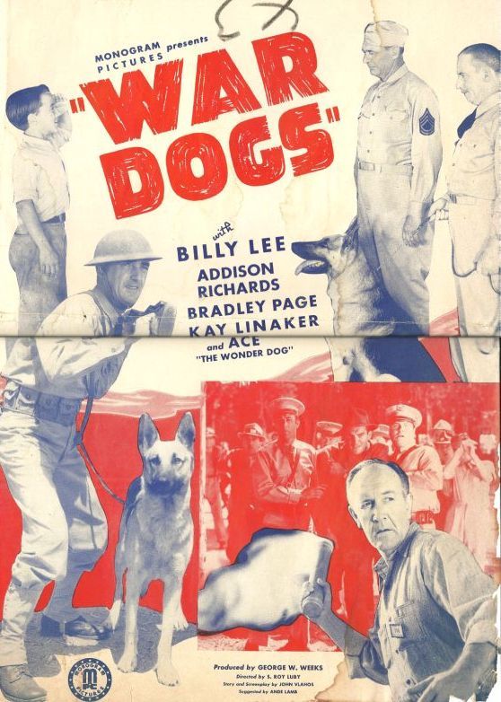 War Dogs - Affiches