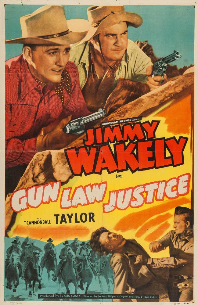 Gun Law Justice - Posters
