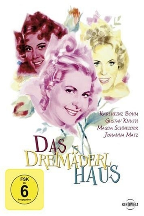 Das Dreimäderlhaus - Plakate