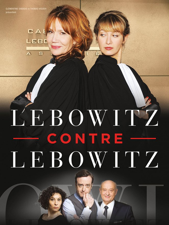 Lebowitz contre Lebowitz - Posters
