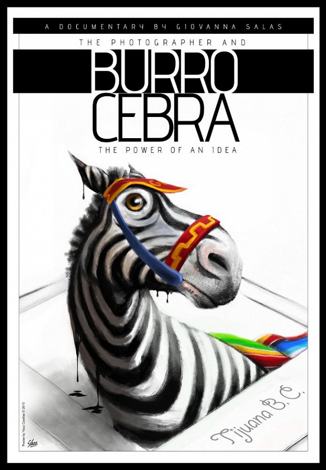 The Photographer and the Zebra Donkey - Plakate