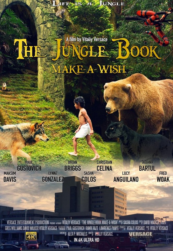 The Jungle Book: Make-A-Wish - Cartazes
