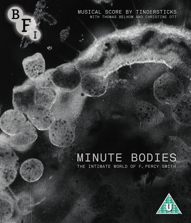 Minute Bodies: The Intimate World of F. Percy Smith - Posters