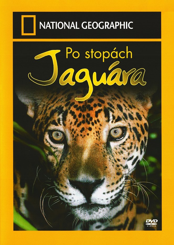 Po stopách jaguára - Plakáty